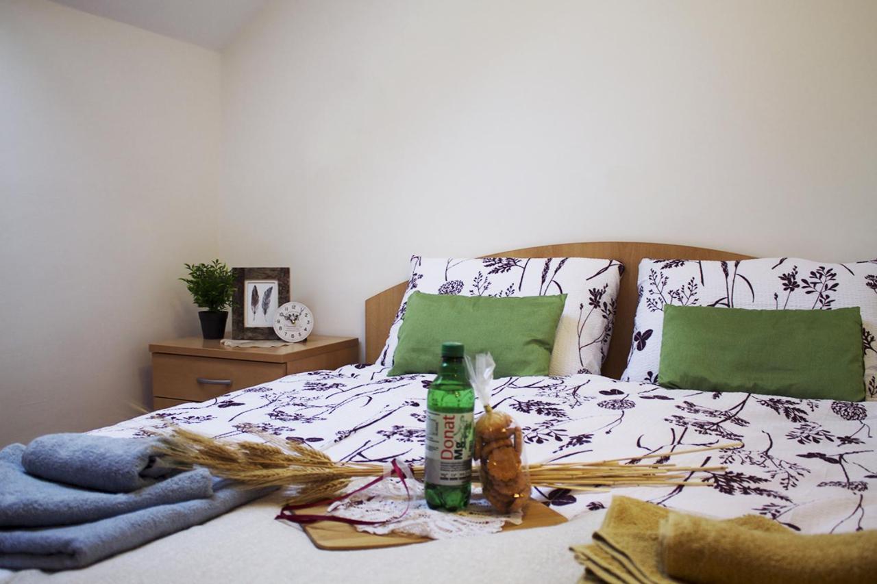 Apartma Pegaz Rogaška Slatina Esterno foto